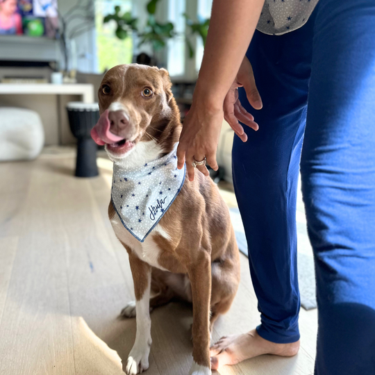 Embroidered Bandana Bib