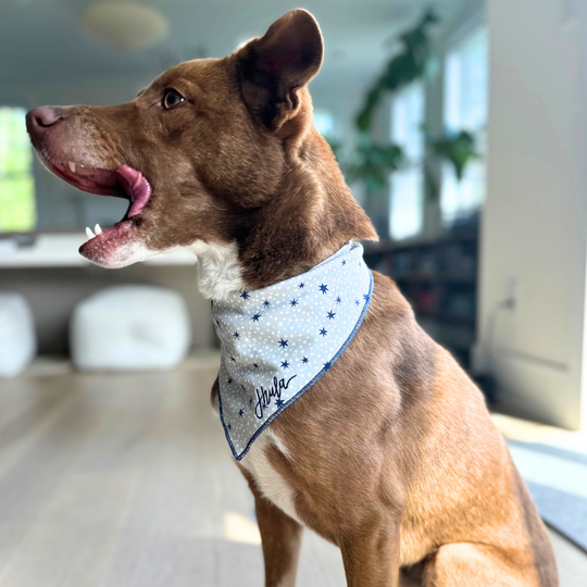 Embroidered Bandana Bib