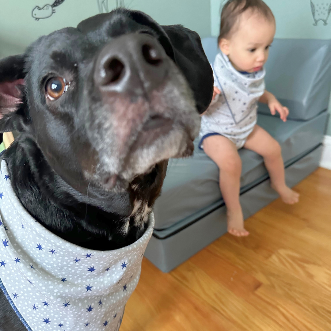 Embroidered Bandana Bib